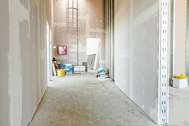 Best Fire-Damaged Drywall Repair  in Lake Caroline, VA